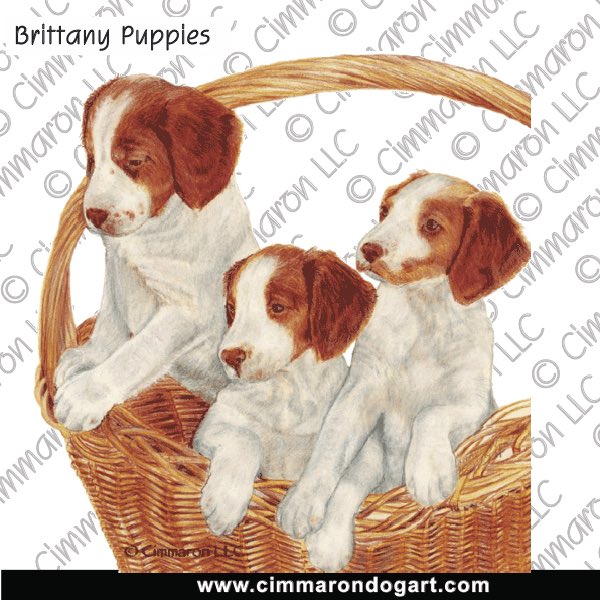 Brittany Puppies in a Basket 025
