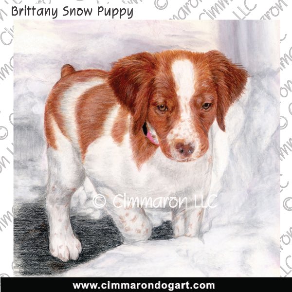 Brittany Snow Puppy 026