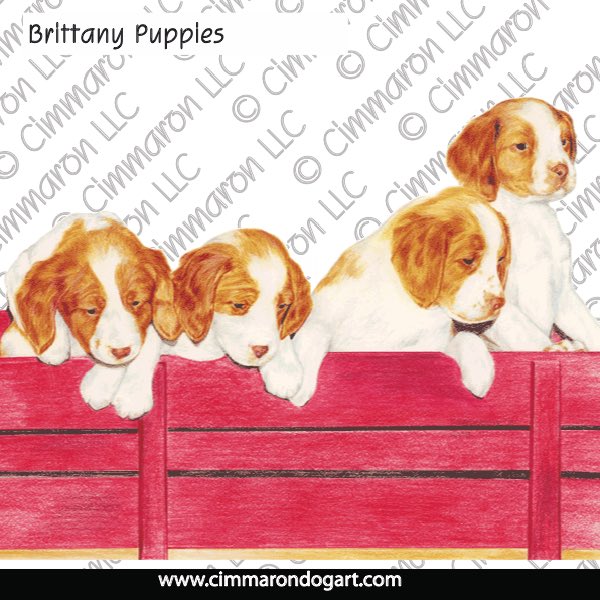 Brittany Puppies in a Wagon 027