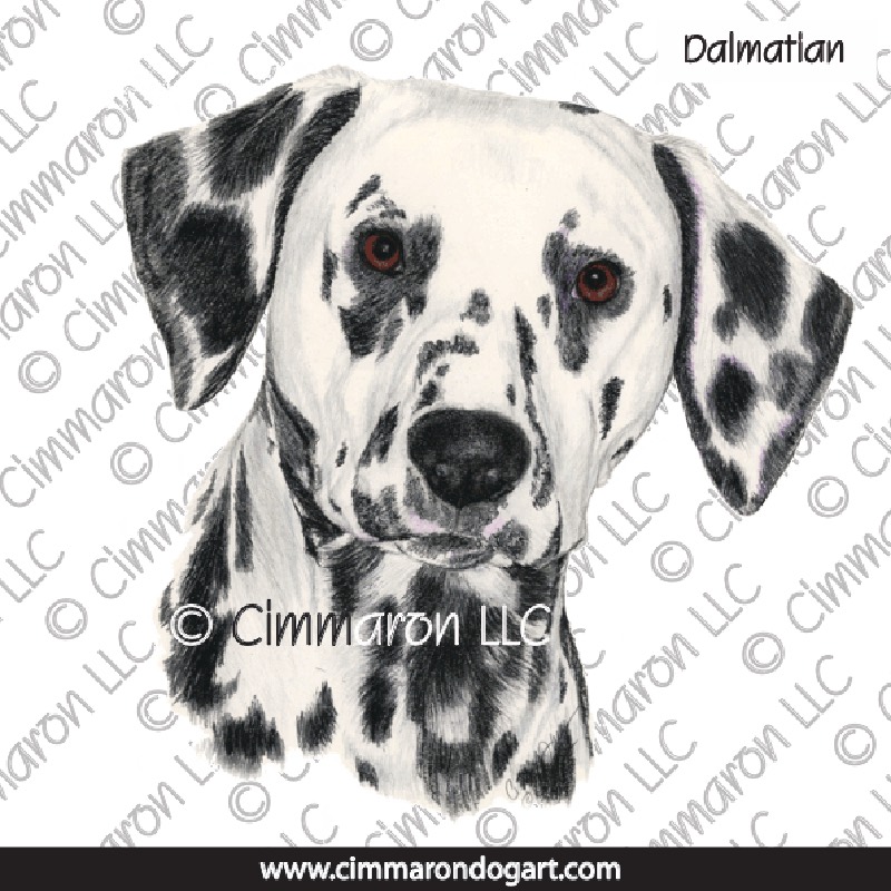 Dalmatian Portrait Black 016