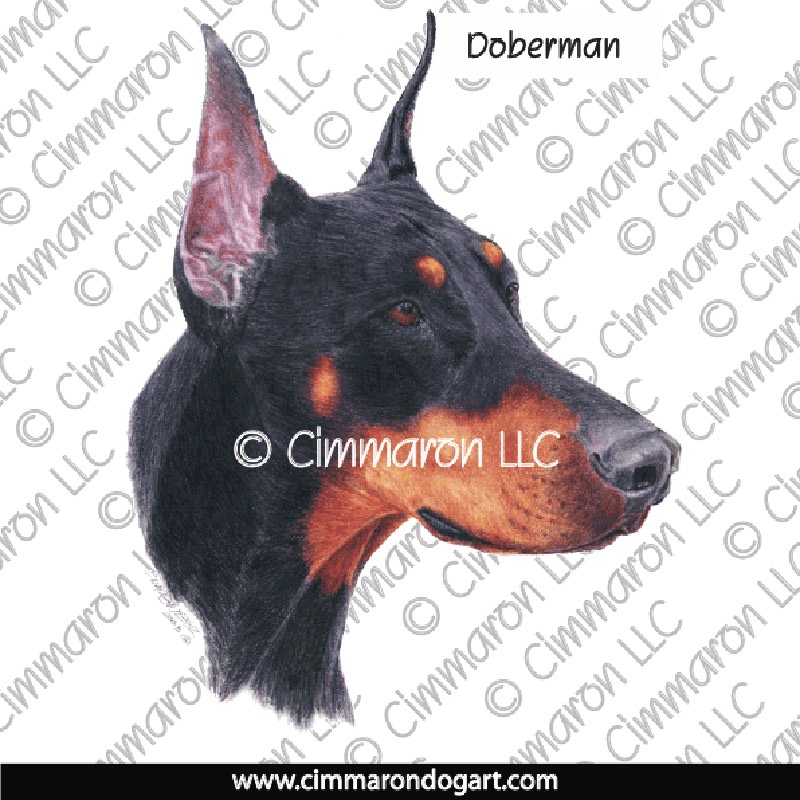 Doberman Portrait 006