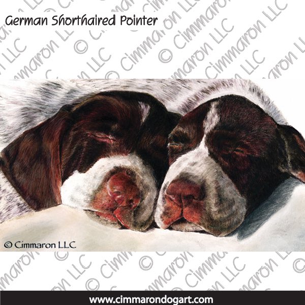 German Shorthaired Pointer Puppies 007