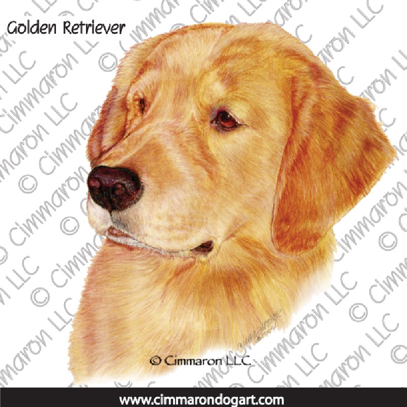 Golden Retriever Drawing 018