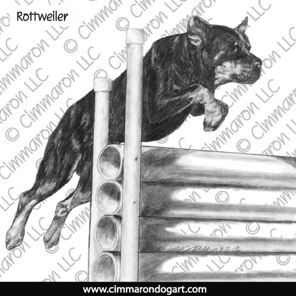 Rottweiler Drawing 011