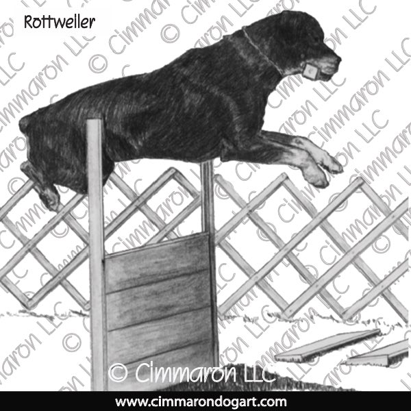 Rottweiler Drawing 012