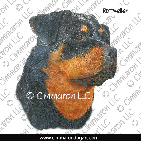 Rottweiler Portrait 013