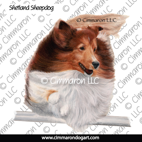 Shetland Sheepdog Drawing 008