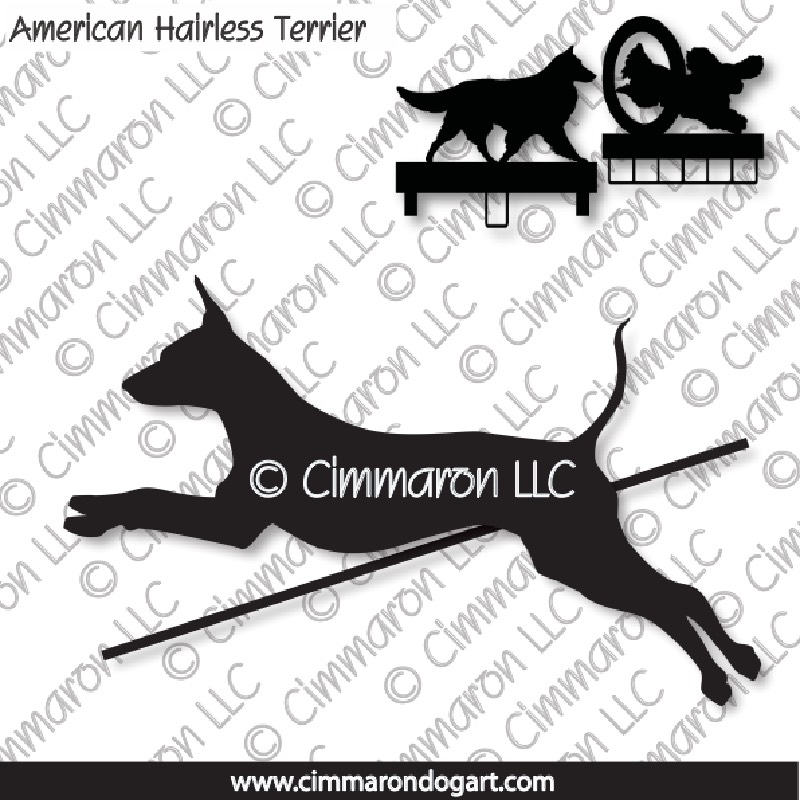 am-hairless004ls - American Hairless Terrier Jumping MACH Bars-Rosette Bars