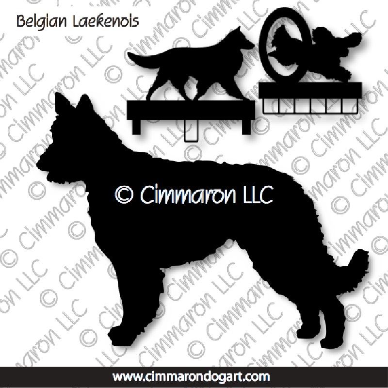 belgianl001ls - Belgian Laekenois MACH Bars-Rosette Bars