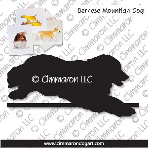 bmd005n - Bernese Mountain Dog Jumping Note Cards