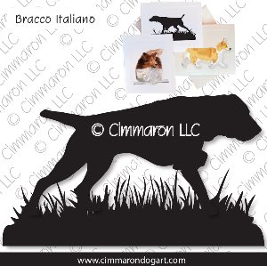 bracco008n - Bracco Italiano Field Note Cards