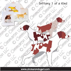 britt022n - Brittany Three Of A Kind