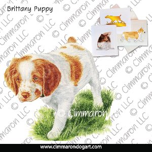britt023n - Brittany Puppy On Point Note Cards