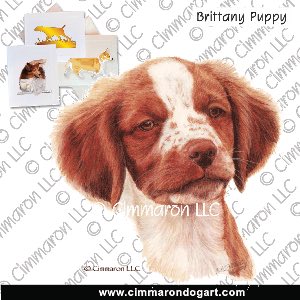 britt030n - Brittany Puppy Portrait Note Cards