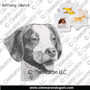 britt048n - Brittany Pencile Drawing Note Cards