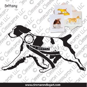 britt005n - Brittany Gaiting N Ribbon Note Cards
