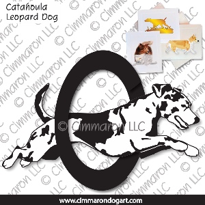 catah008n - Catahoula Leopard Dog Agility Outline Note Cards