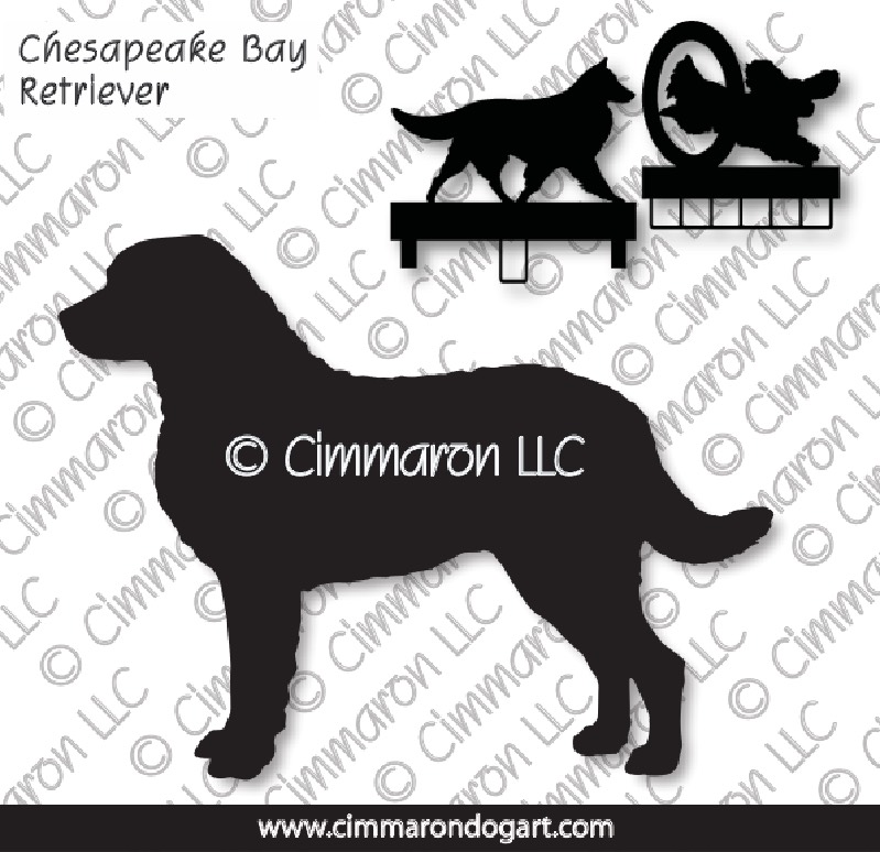 chessie001ls - Chesapeake Bay Retriever MACH Bars-Rosette Bars