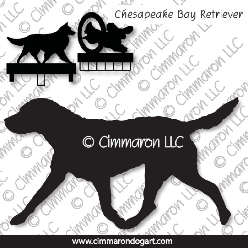 chessie003ls - Chesapeake Bay Retriever Gaiting MACH Bars-Rosette Bars