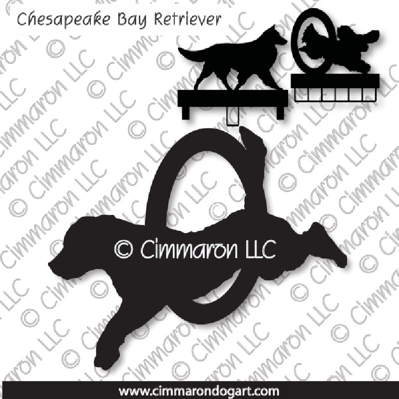 chessie004ls - Chesapeake Bay Retriever Agility MACH Bars-Rosette Bars