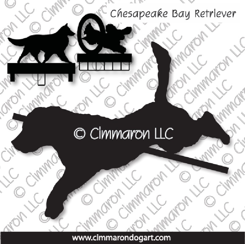 chessie005ls - Chesapeake Bay Retriever Jumping MACH Bars-Rosette Bars