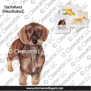 doxie022n - Dachshund Wirehair Drawing Note Cards