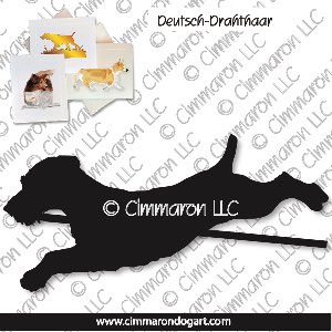 drahts004n - Deutsch Drahthaar Dog Jumping Note Cards