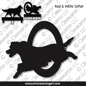 ir-redwhite005ls - Irish Red and White Setter Agility MACH Bars-Rosette Bars