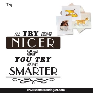 say005n - Try to be Smarter Note Cards