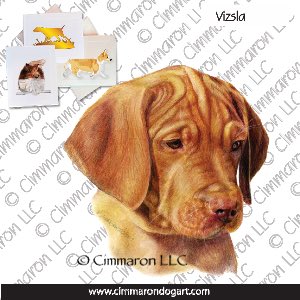 vizsla014n - Vizsla Pup Drawing Note Cards